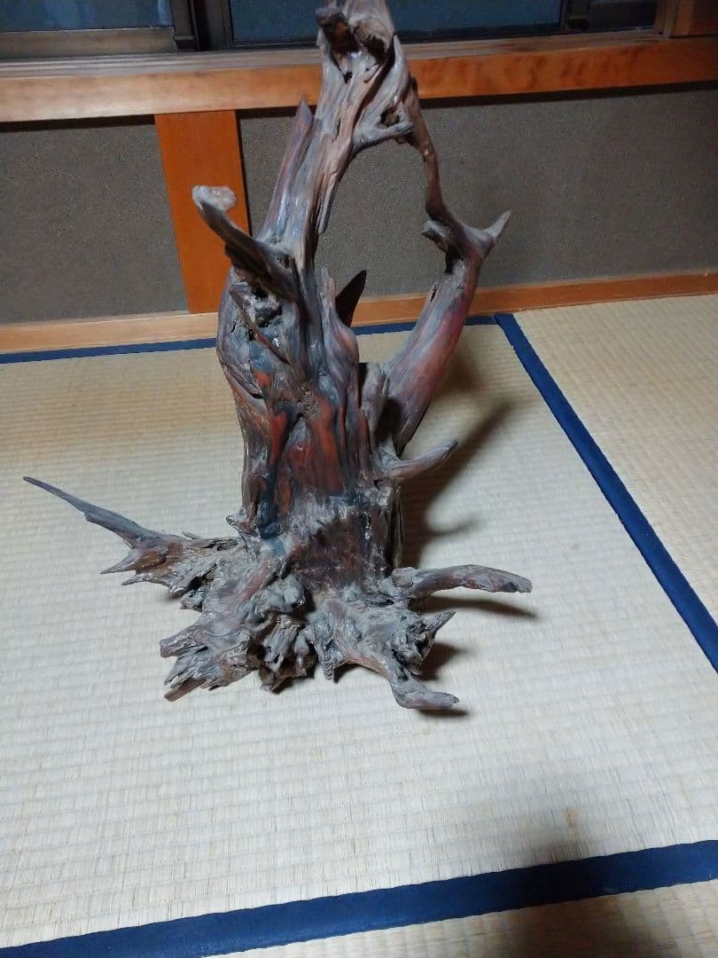 置物  木の根  かぶた