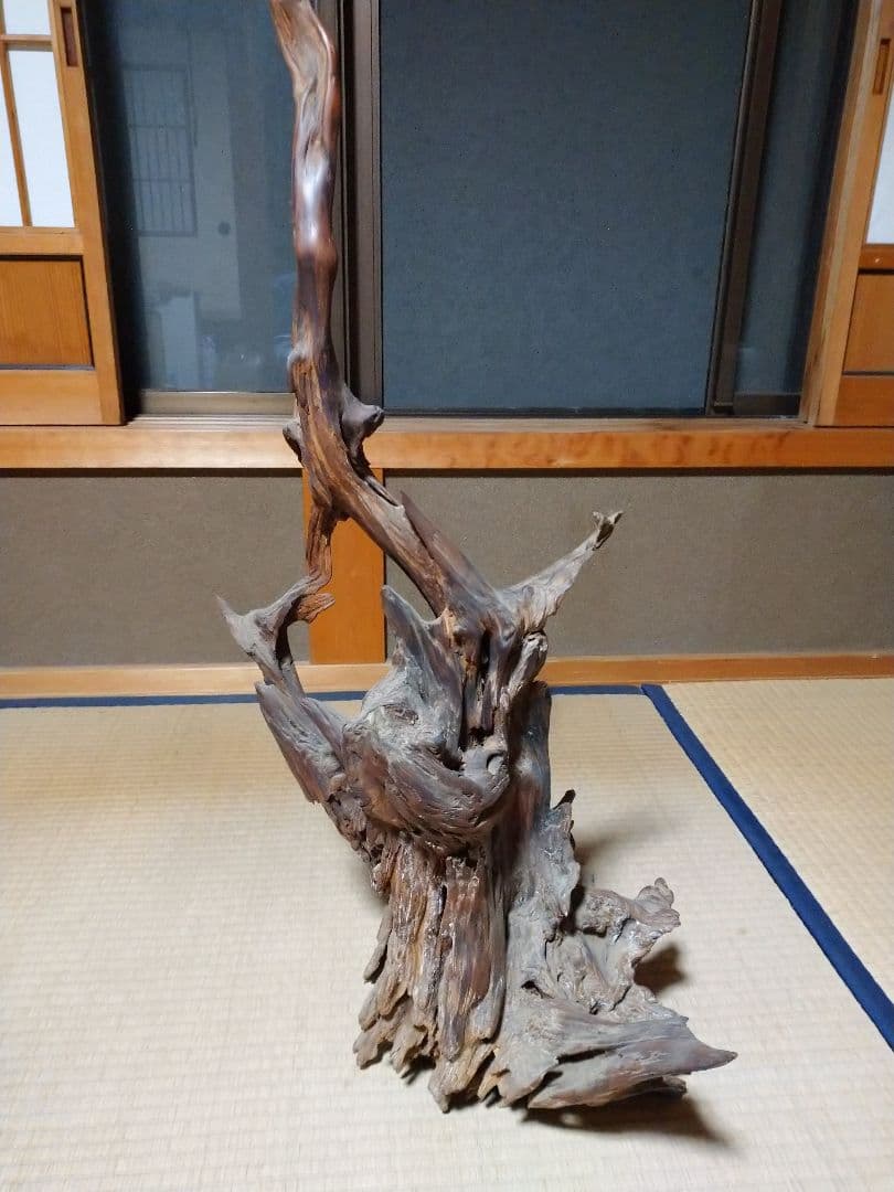 置物  木の根  かぶた