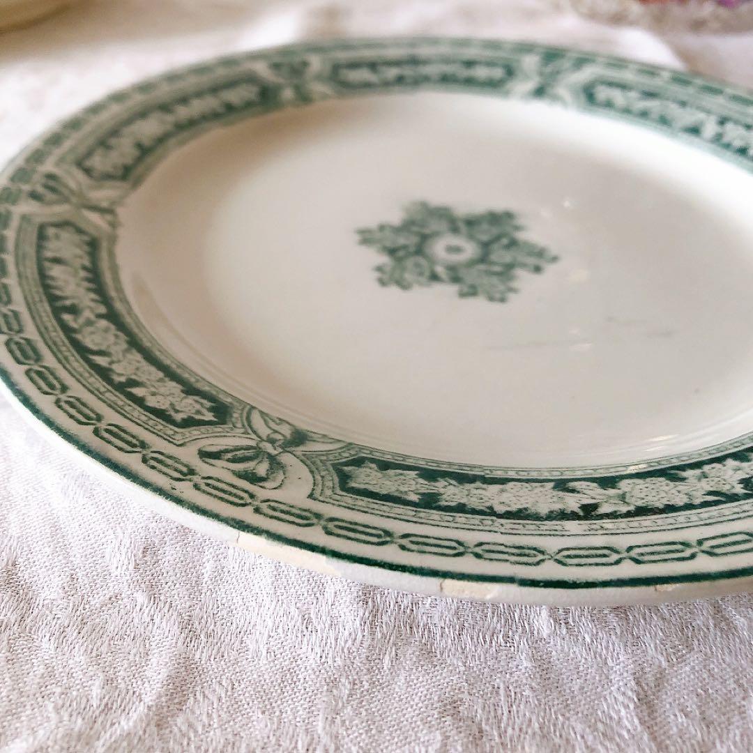 ヴィエイヤールボルドー　カマイユ ディナープレート　F フランスアンティーク食器