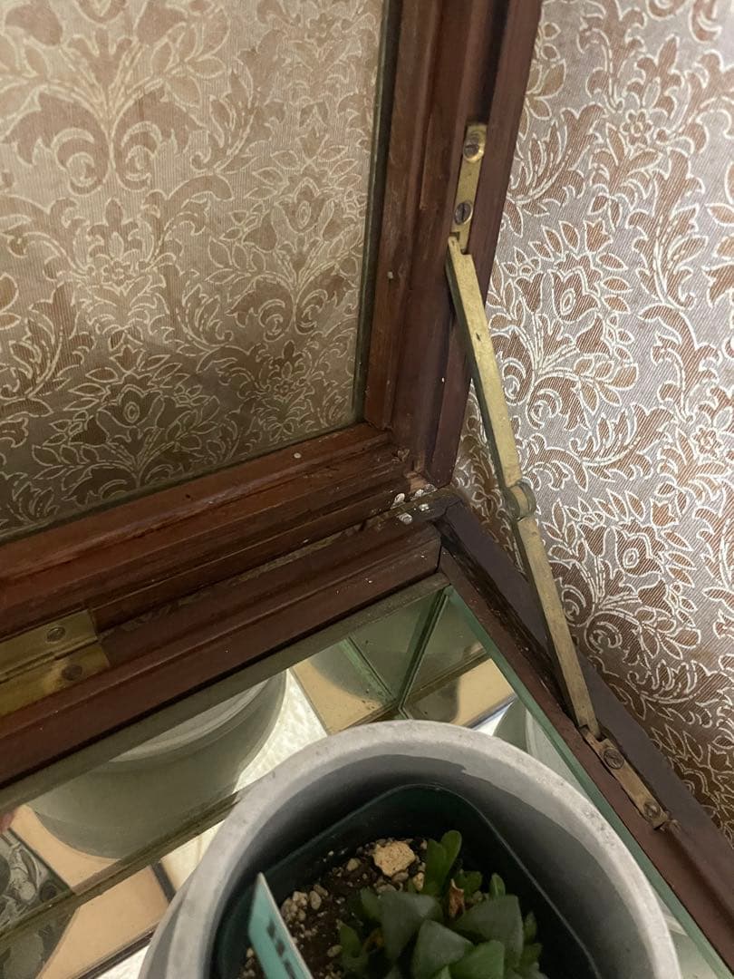 SALE アンティーク　木製ガラスケース