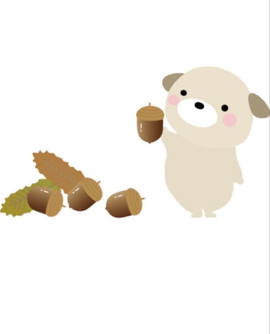 kssちゃん　まとめ