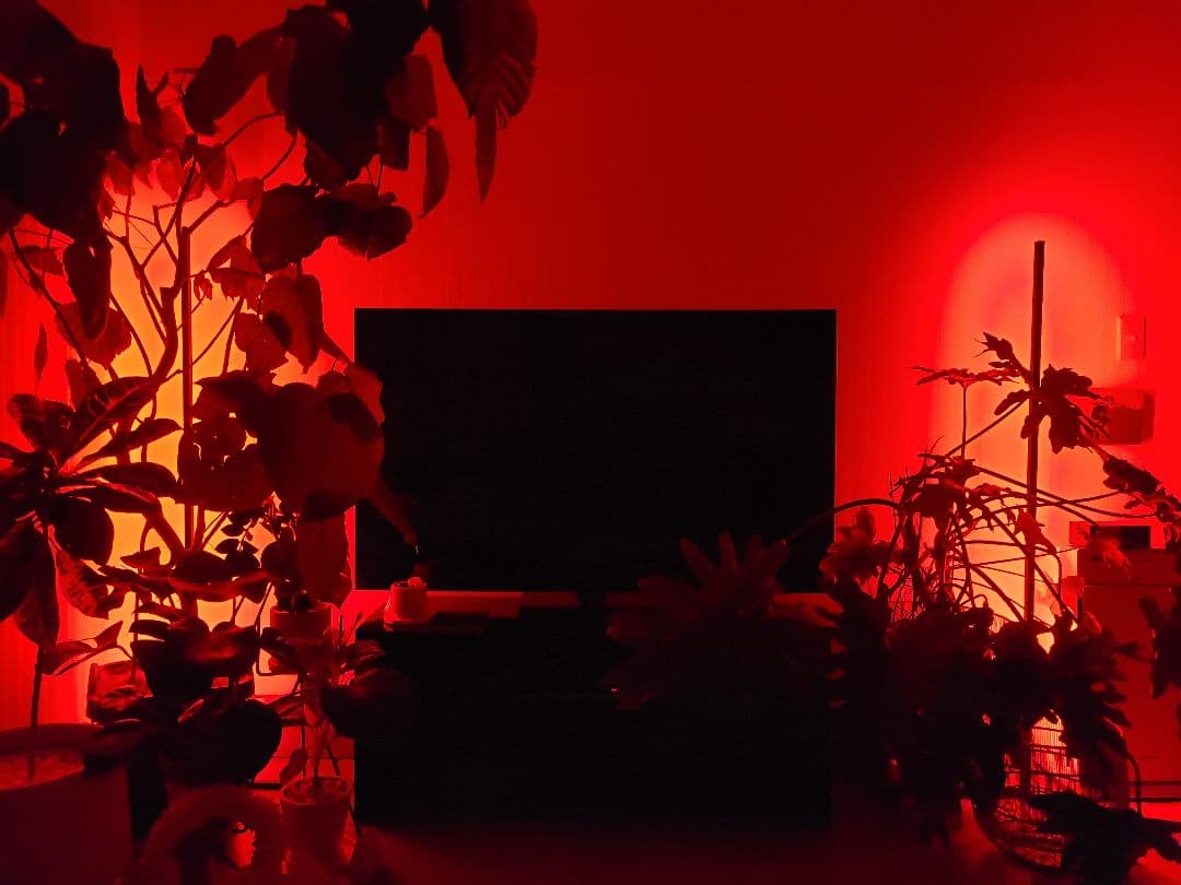 ILLUMINAR　Funky Lama　フロアライト2本セット　間接照明