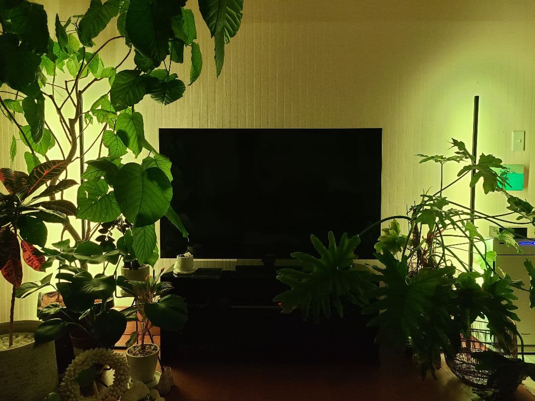 ILLUMINAR　Funky Lama　フロアライト2本セット　間接照明