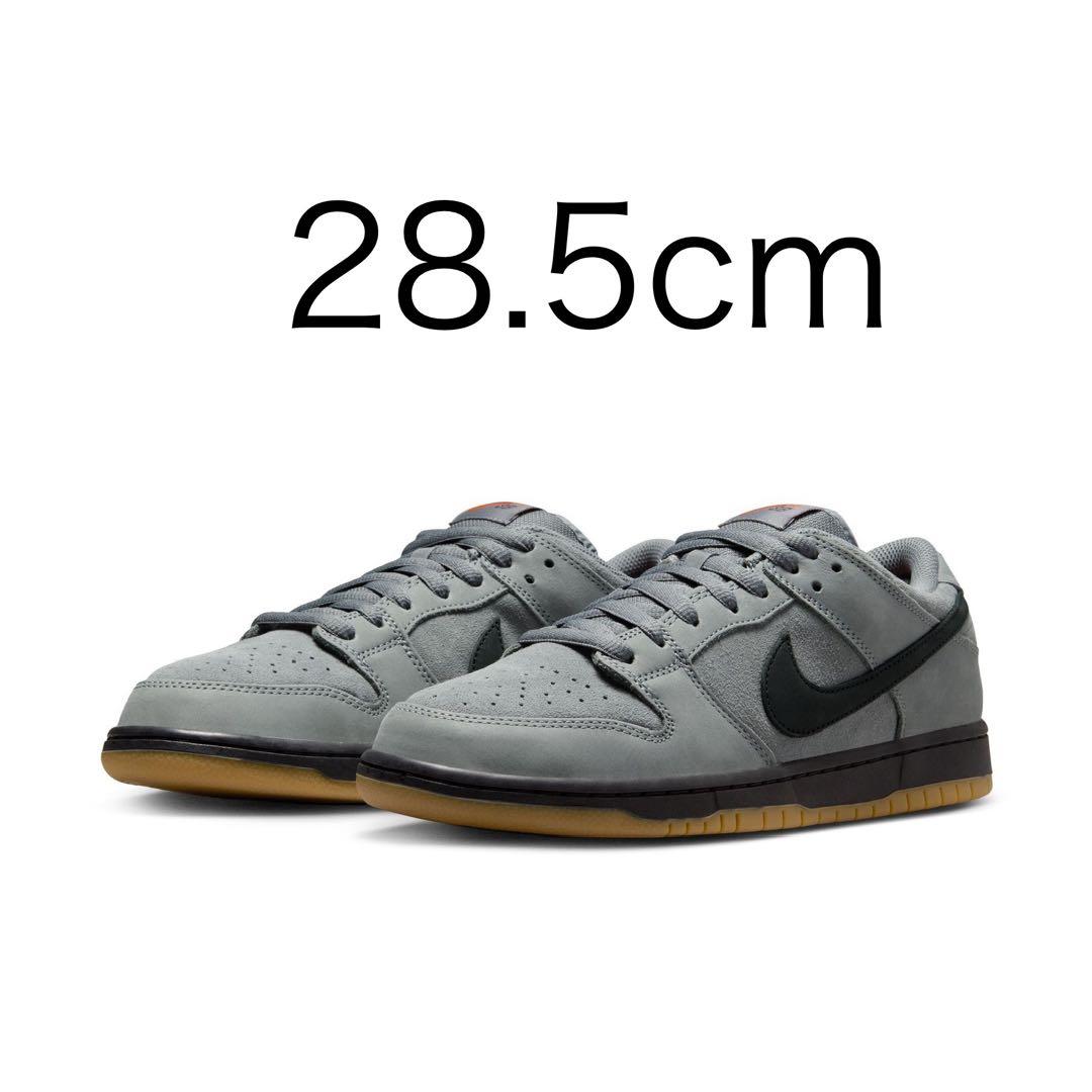 スケートボード Nike SB Dunk Low ISO \