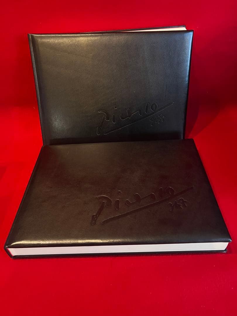 Picassoピカソ佐藤