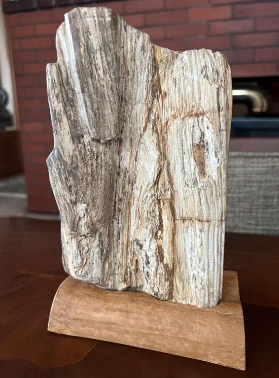 石収集家 人生コレクション 1.7kg 珪化木 ケイカボク 化石 天然石 鑑賞石