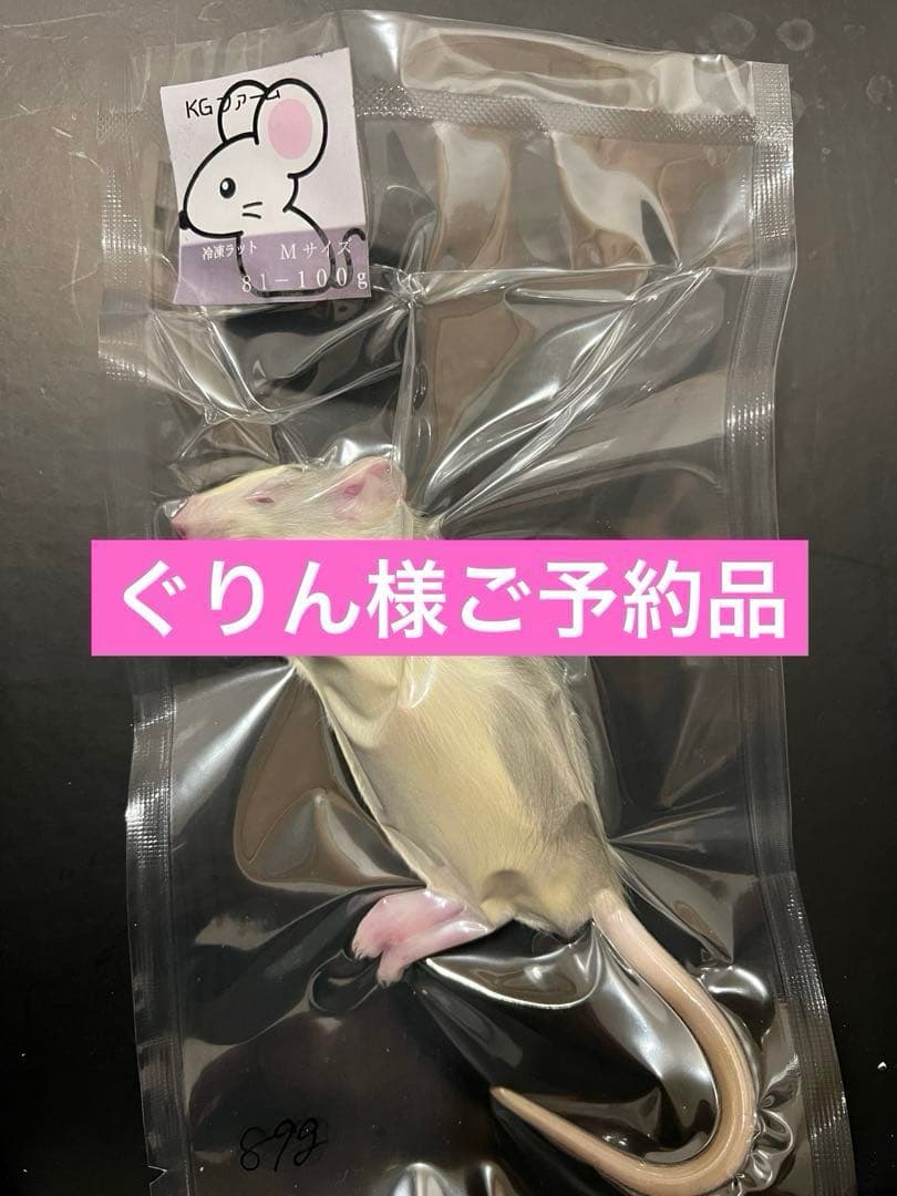 ☆冷凍ラット☆ぐりん様ご予約品