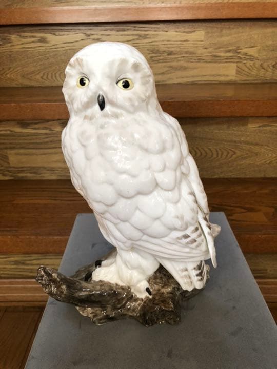 フクロウ（とまり木）