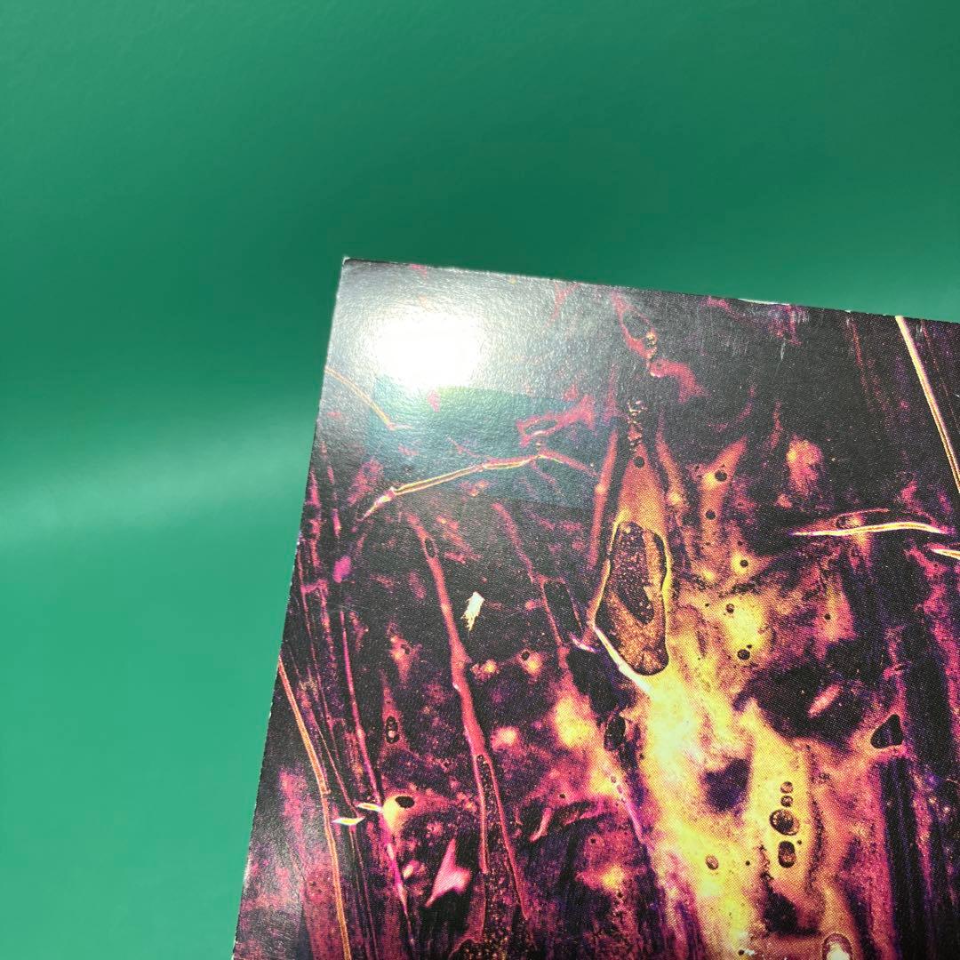 ■[廃盤/国内盤] My Chemical Romance 1st アルバムCD