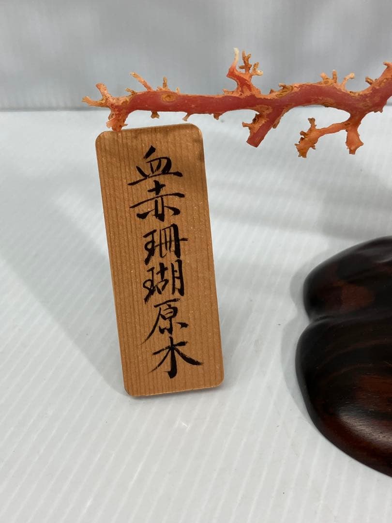 【血赤珊瑚原木】希少！＊血珊瑚＊天然 原木 サンゴ オブジェ 手渡し推奨