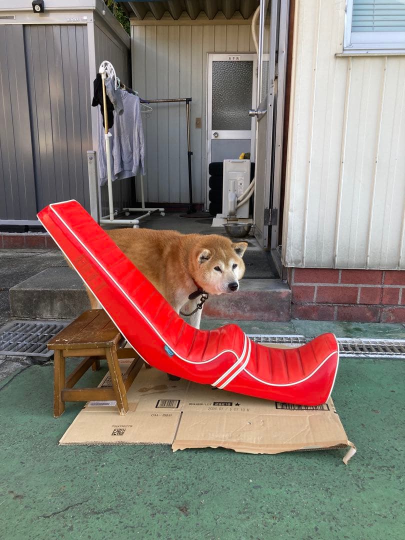 CBR400F用 三段シート 大川製 60センチ