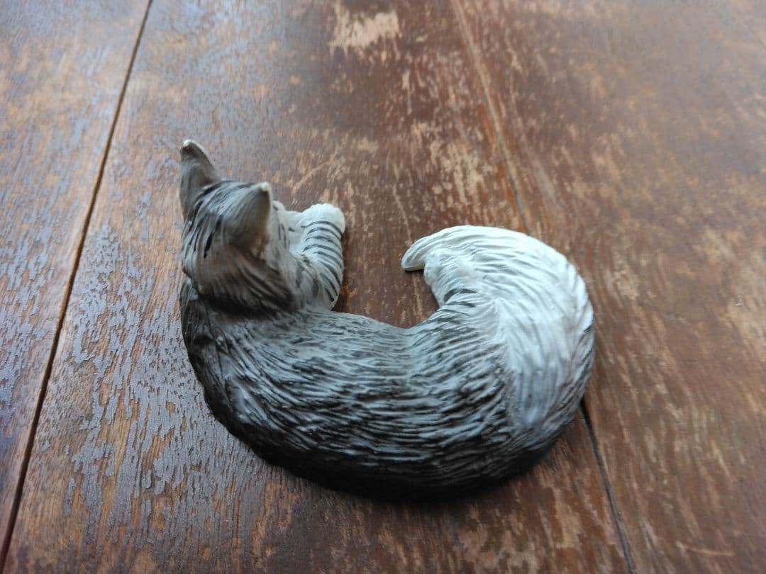 猫　メインクーン　綺麗な姿　気品冴える感じさせられる