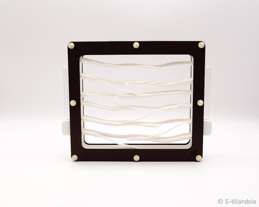 Hybrid Nest 2 side large ・ガラスアリ飼育ケース