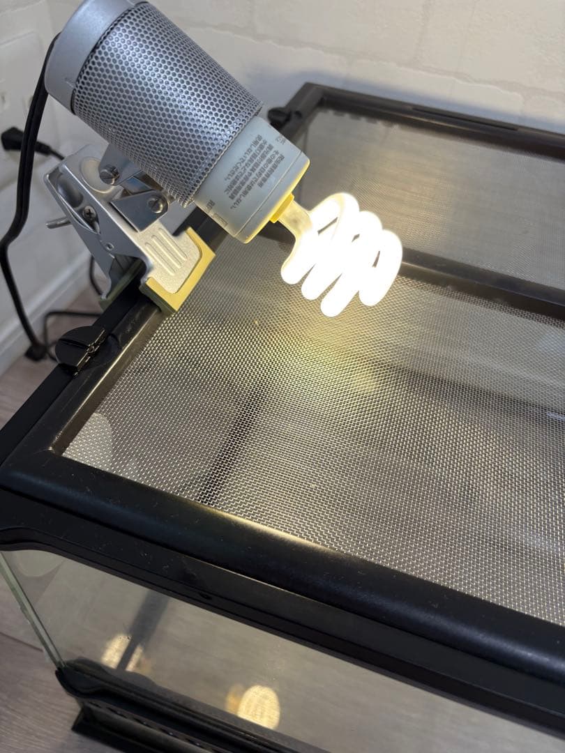 爬虫類飼育セットリクガメフトアゴガラスケージ60.5cm45.5cm32.5cm