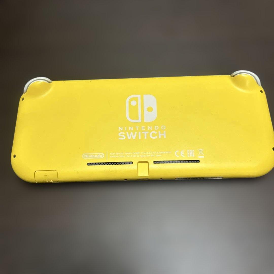 Switchライト　ACアダプタ　ケース付き