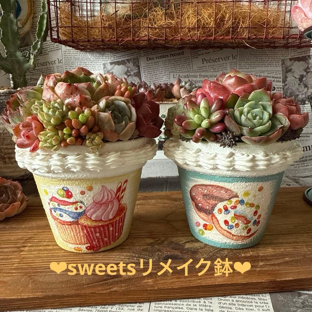 ❤︎sweets whip❤︎ そのまま飾れる多肉植物の寄せ植えリメ鉢ちまリメ缶