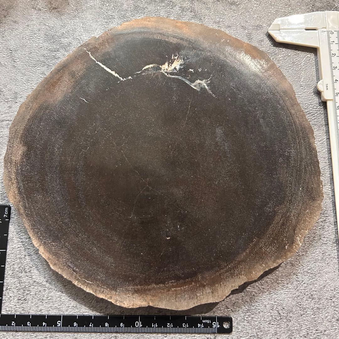 天然石　珪化木　スライス