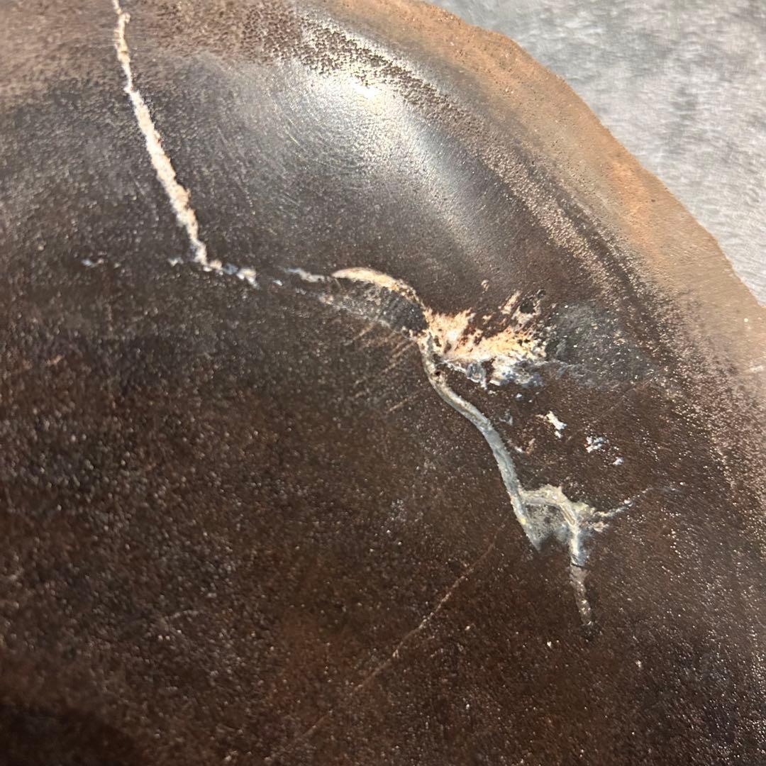 天然石　珪化木　スライス