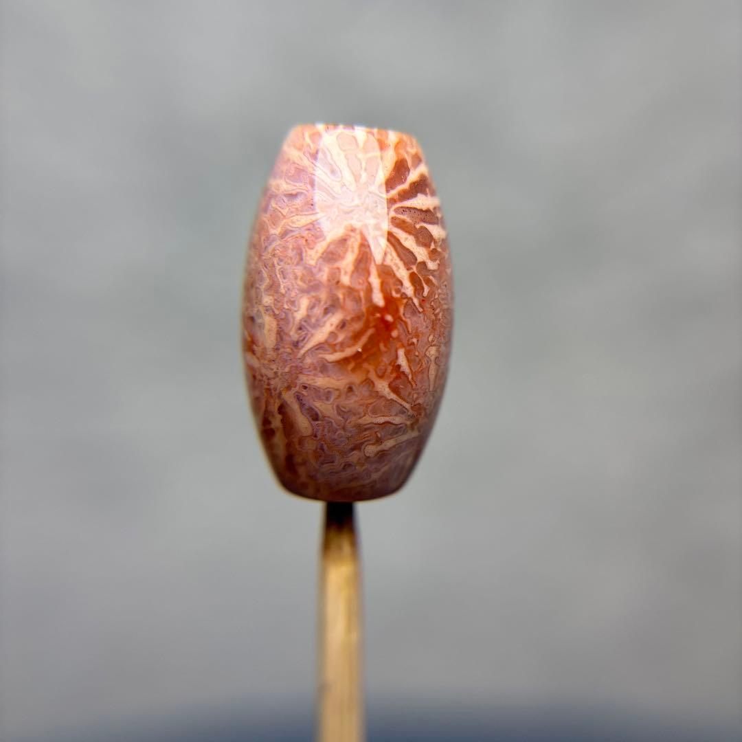 もんちゃんフォッシルコーラル　天珠　1-331