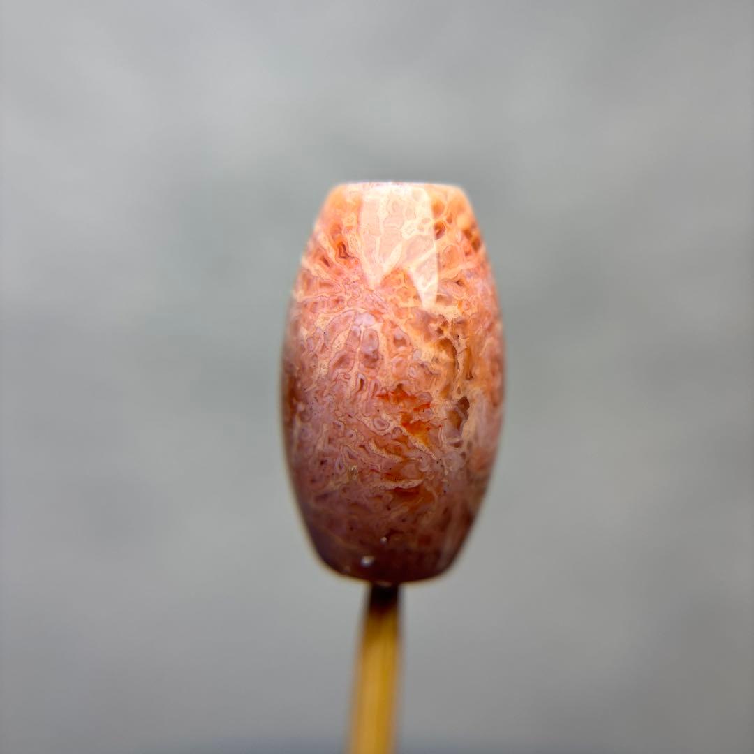 もんちゃんフォッシルコーラル　天珠　1-331