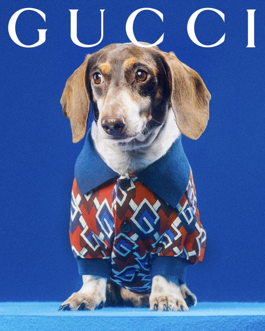 新品 GUCCI ペットコレクション モノグラムシャツ (XXS) Ⓗ