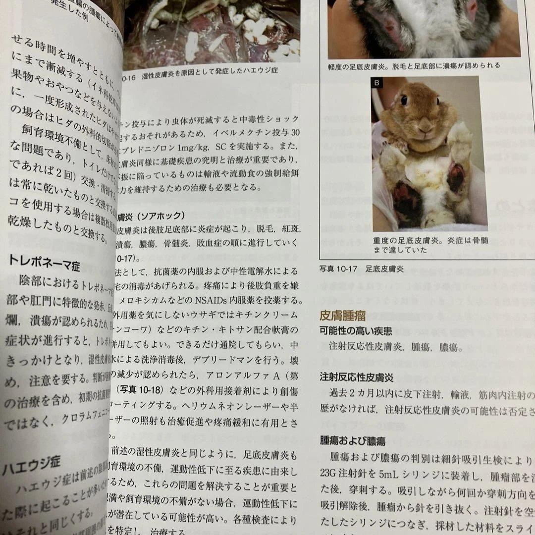 定価15400円　できる!!ウサギの診療　沖田将人　エデュワードプレス