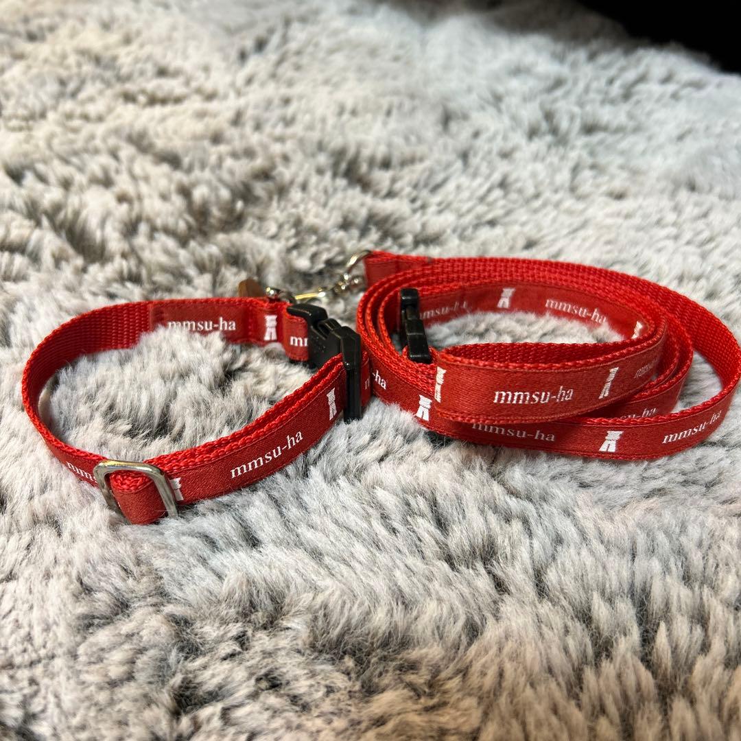 【ベティ】mmsu-ha エムエムスーハ ロゴ カラー リード セット