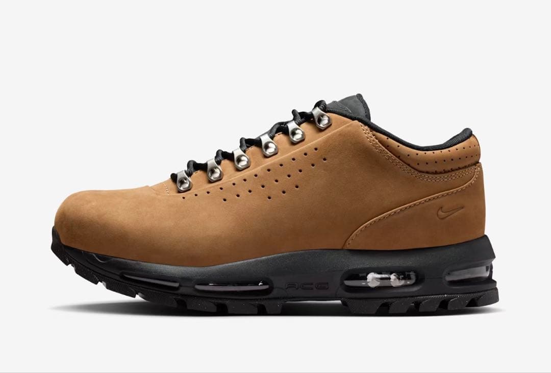 靴 Nike air max goadome Low SP Taupe 29