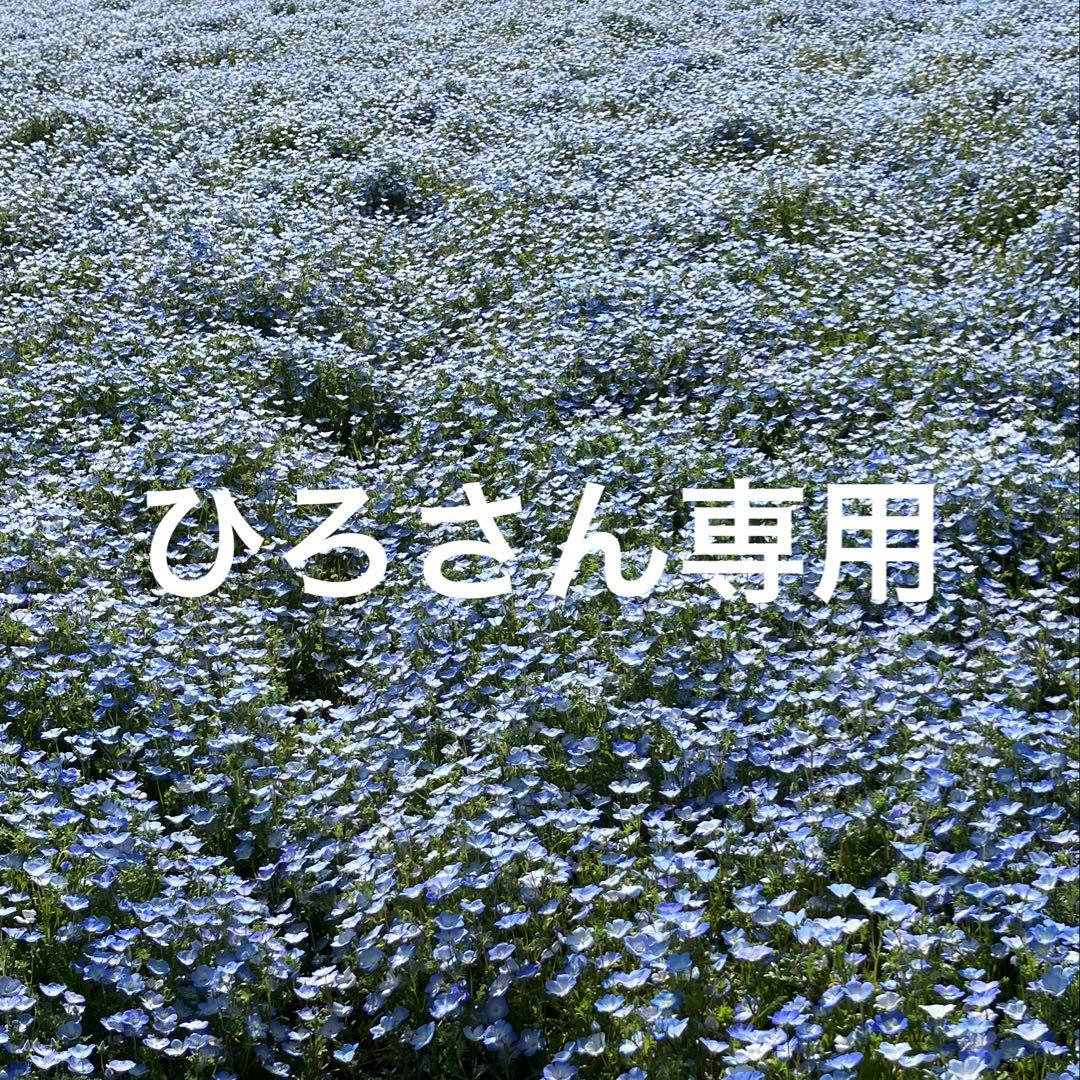 クロスステッチ完成品(u) (v)