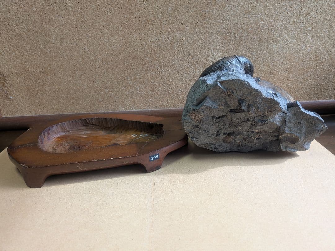 アンモナイト化石12㎝(292)