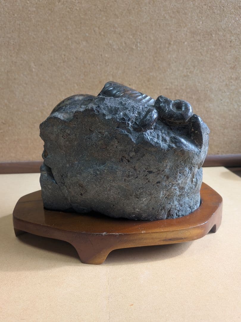 アンモナイト化石12㎝(292)