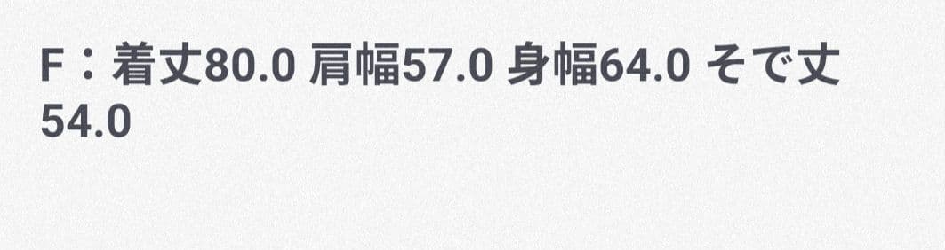 試着のみタグあり　2025　別注TAION(ノーリーズ)ミドル丈ダウンジャケット