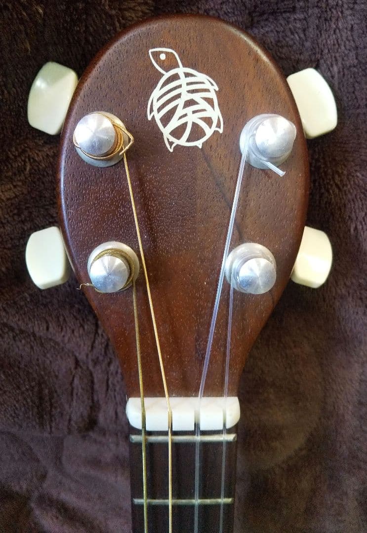 楽器　一五一会　奏生　DVD付き