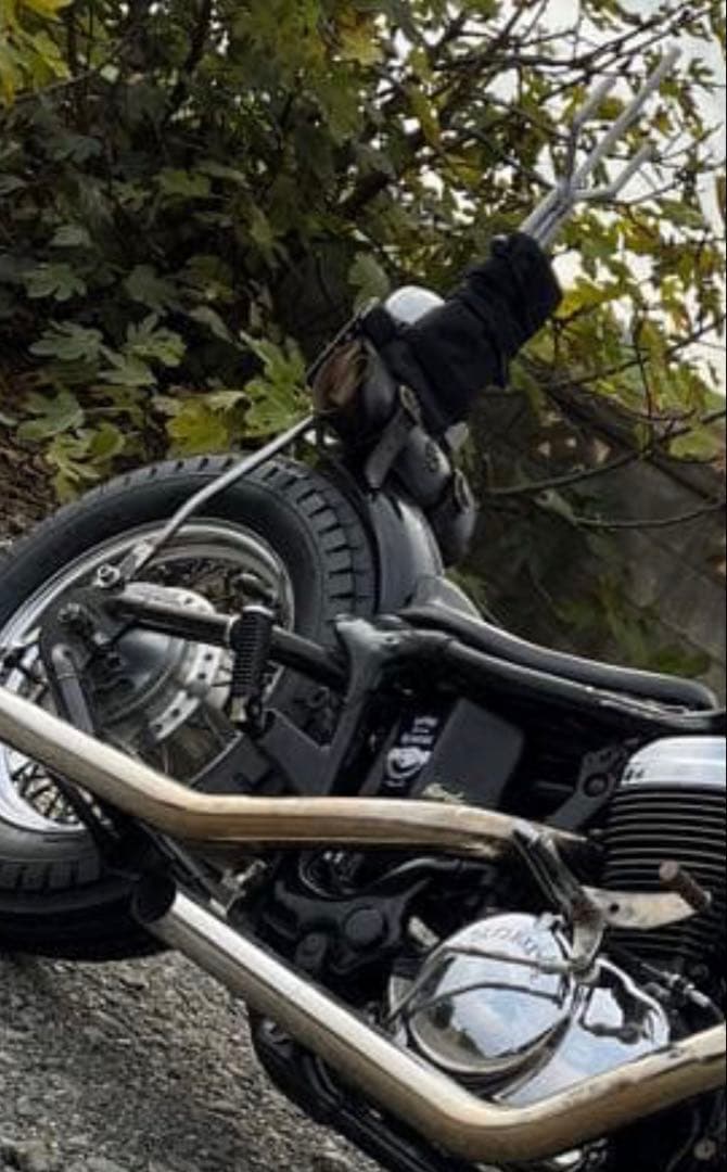 スティード400 フラットフェンダー／ファイアーパターン