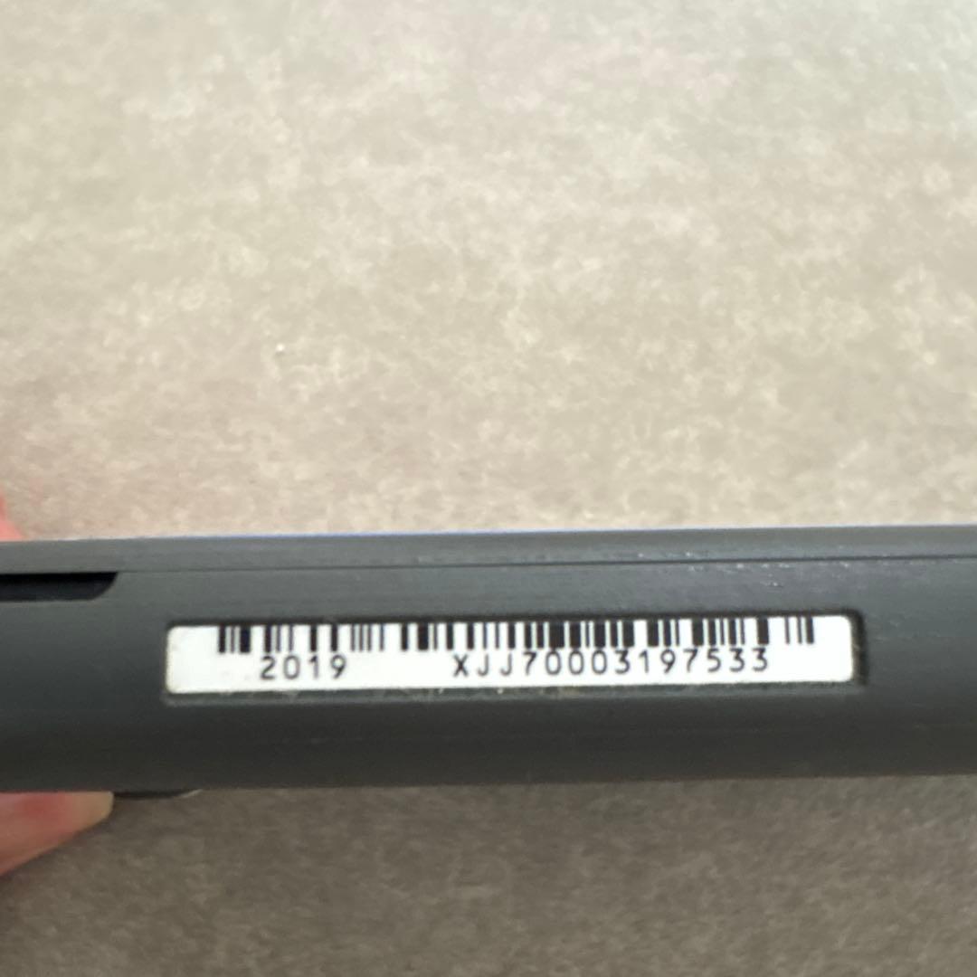 Nintendo Switch light 本体 グレー カバー ケース付き