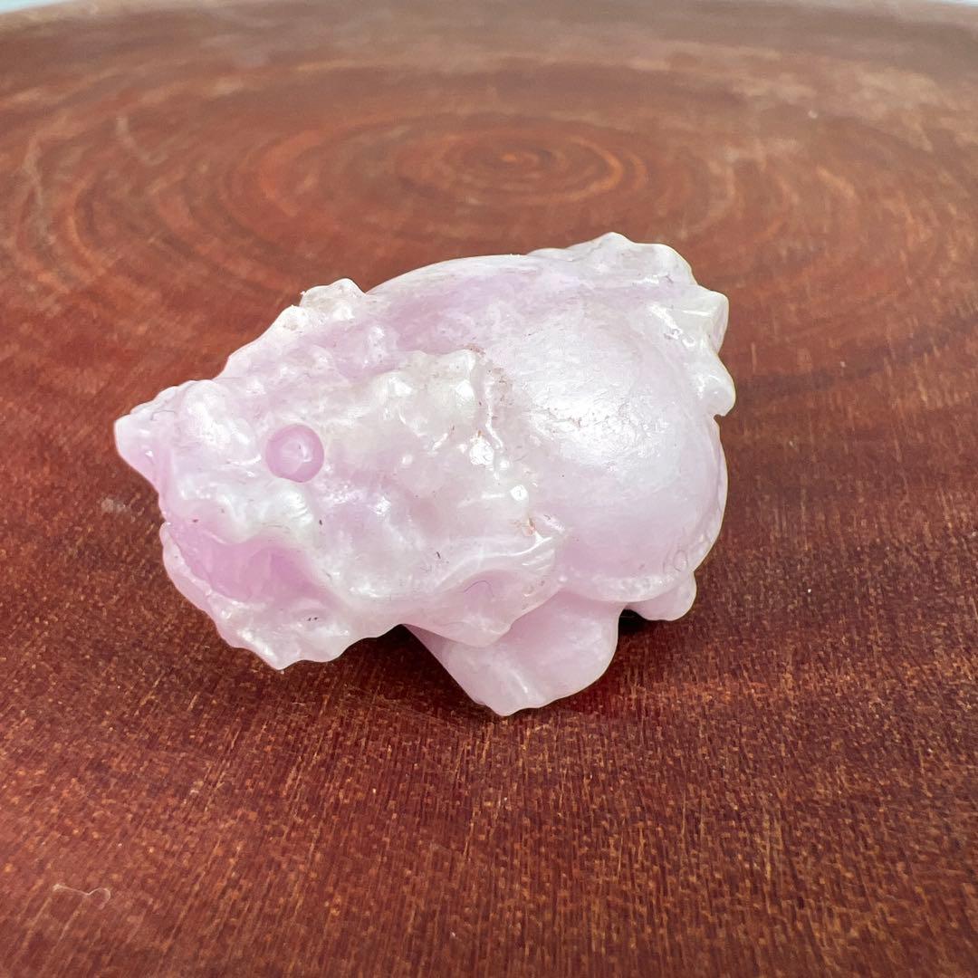 ❣️❣️❣️Aceth❤❤❤値引き不可様　シラーのかわいい亀　キャッツアイ　オレンジ