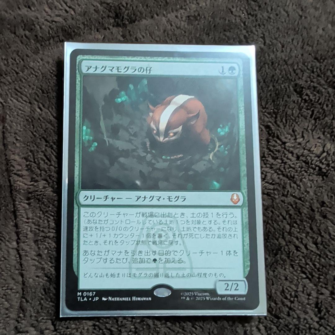 アナグマモグラの仔/Badgermole Cub 日本語版