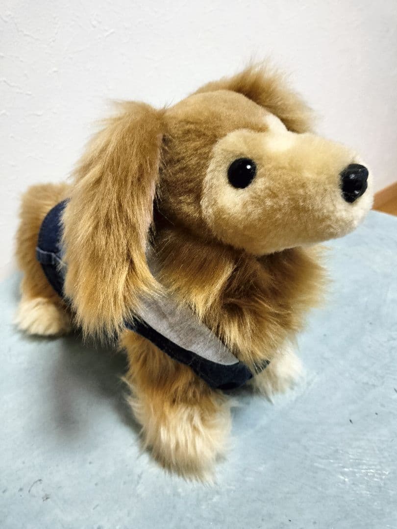 ゆかべぇ　ダックス　レッド