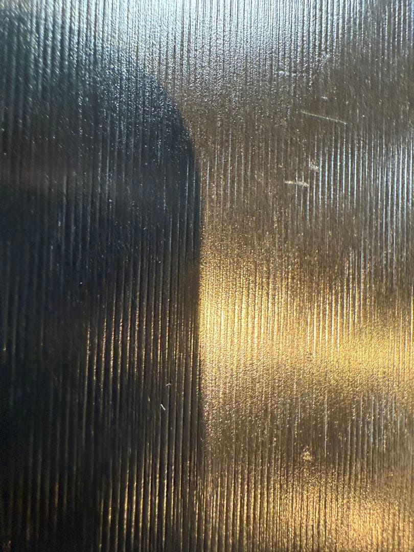 希少 サロモン GS R26 X19 FTF スキー 183cm 新古品