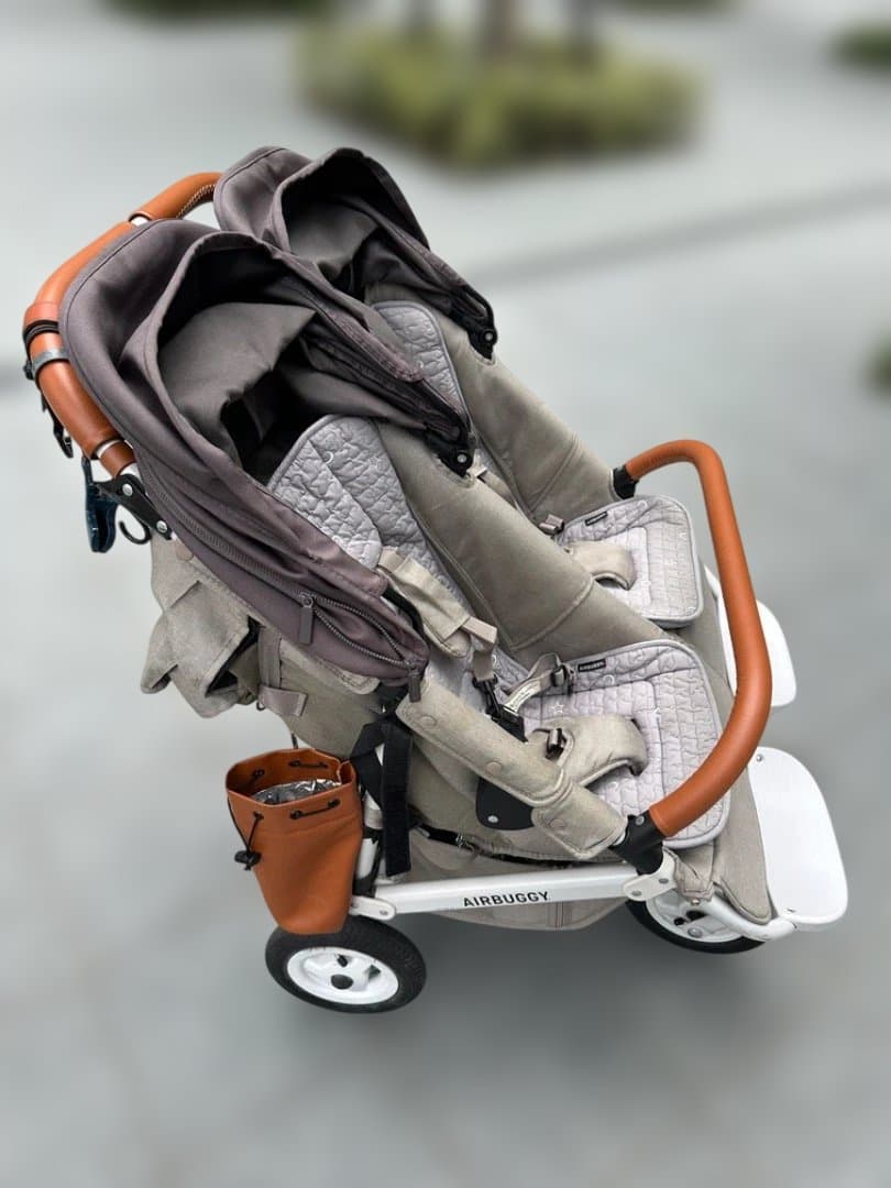 【naaysさん専用】エアバギー ココダブル EX FROM BIRTH