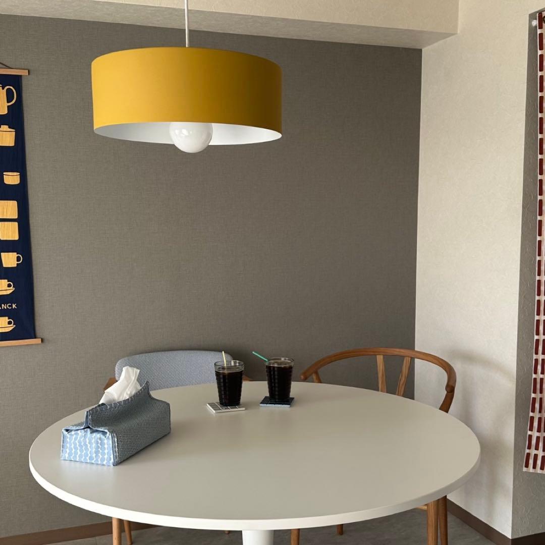 APROZ(アプロス) GALLON 1PL(ガロン1灯Lサイズ・イエロー)