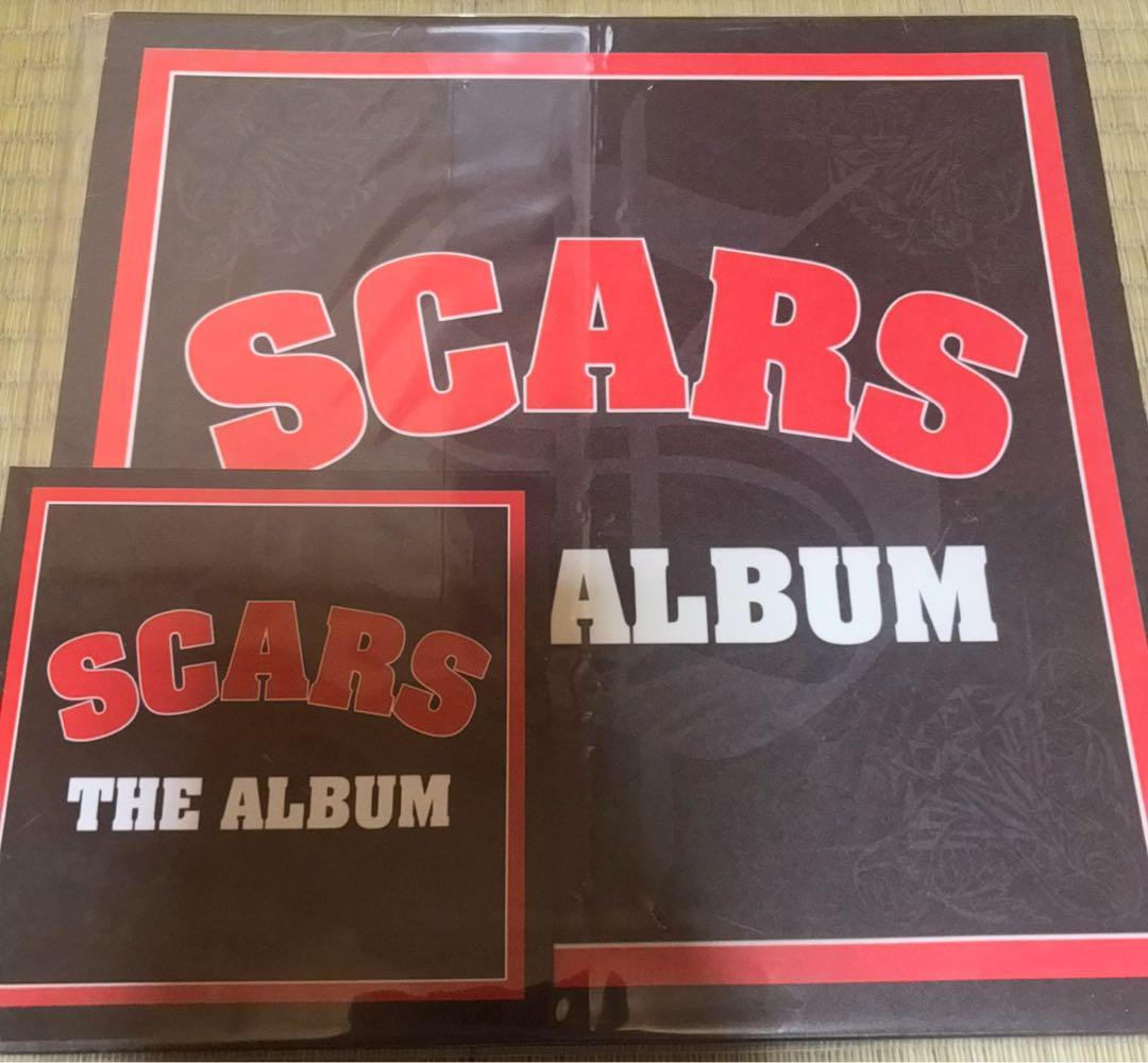邦楽 SCARS THE ALBUM 2LP