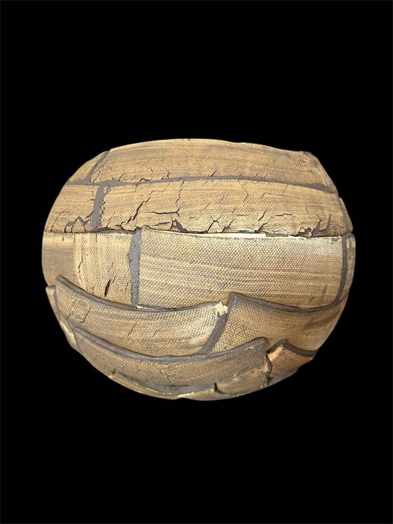 希少 新品 信楽焼 鉢COMWORK STUDIO コムワーク 陶器 塊根