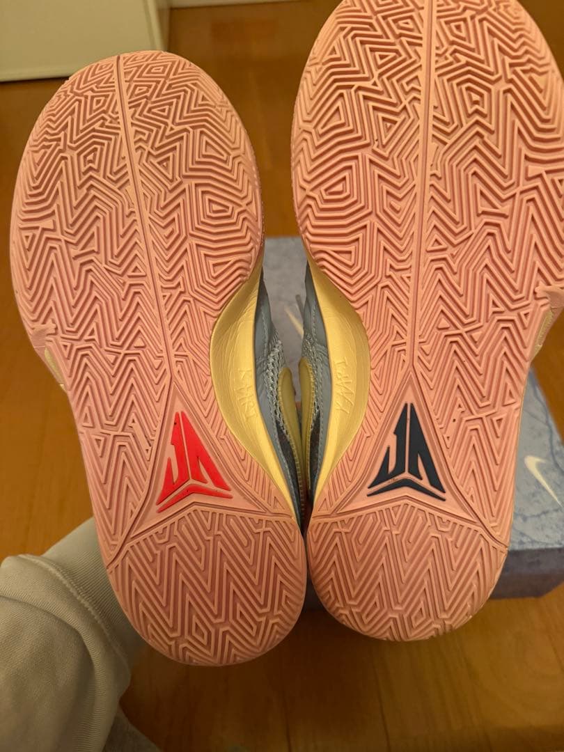 シューズ(男性用) Nike Ja 1 \"Day One\"