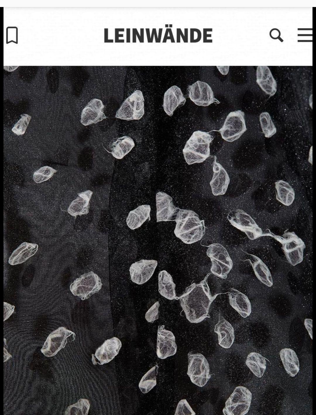 新品タグ付き LEINWANDE ラインヴァンド　オーガンジーブラウス