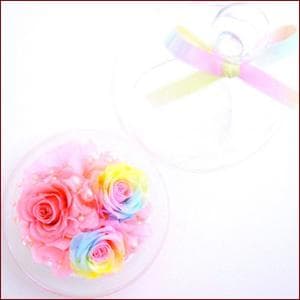 【楽天ランキング1位】プリザーブドフラワーパステルレインボーローズ ガラスドーム