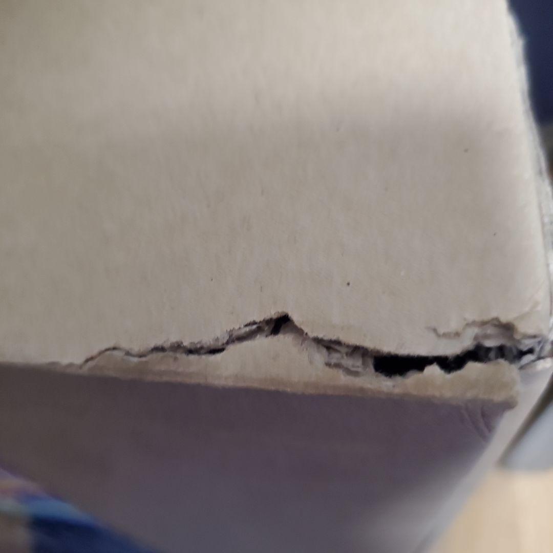 【未使用】LEDナイアガライトDX (ラインレインボー)