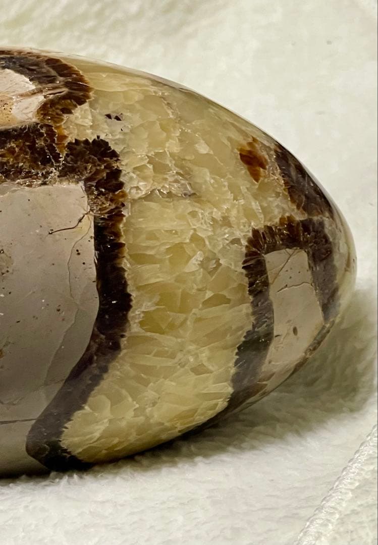 セプタリアン たまご形　存在感抜群の1kg台座付き