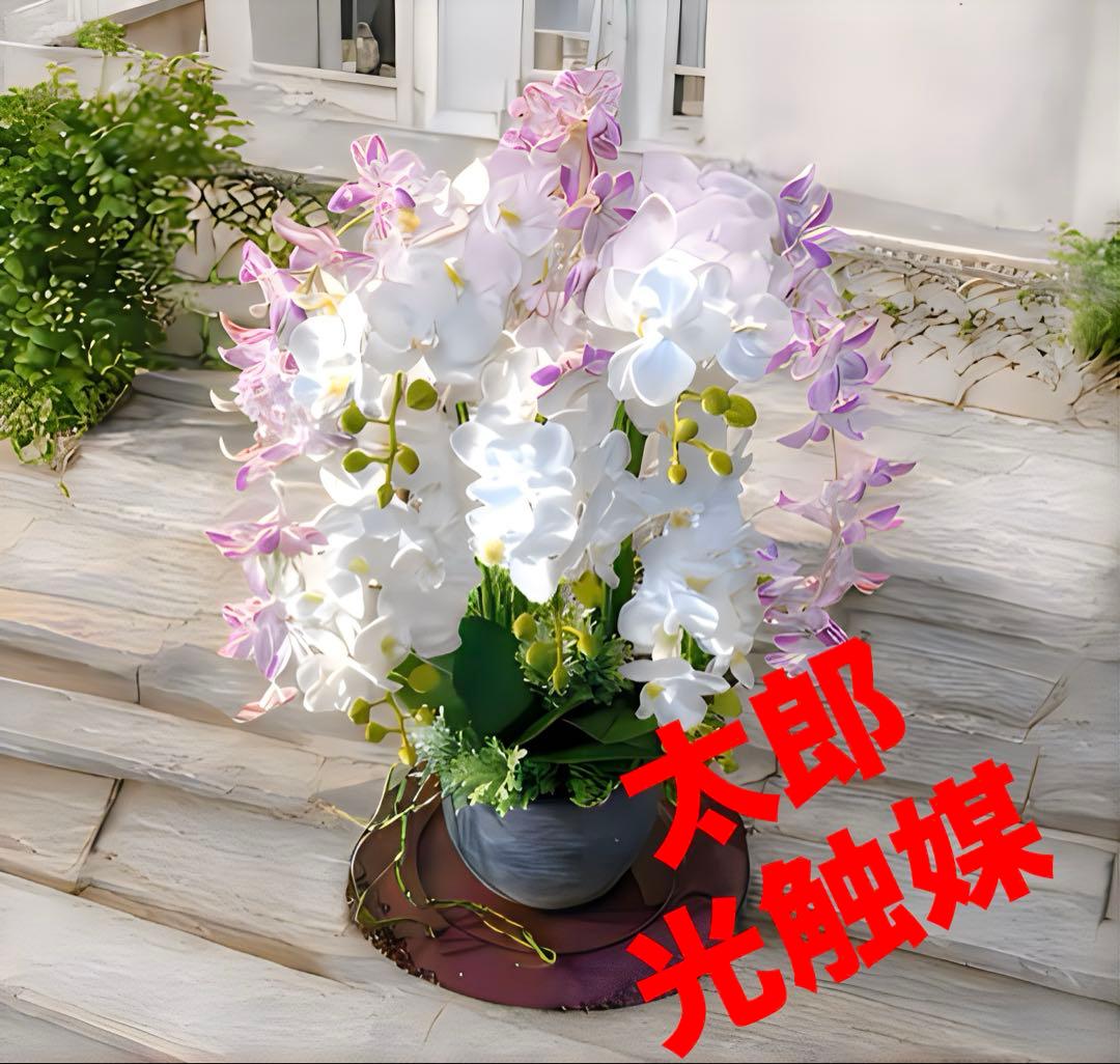 光触媒　人工観葉植物　ウォールグリーン　フェイクグリーン　胡蝶蘭とオーキッド@a