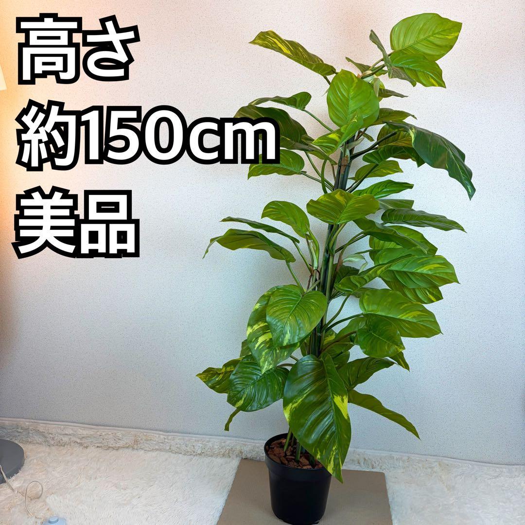 送料無料 フェイクグリーン 人工観葉植物 光触媒 150cm ポトス